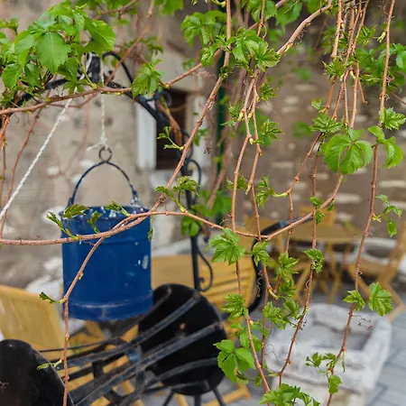 Hotel Captain Manolis 2*