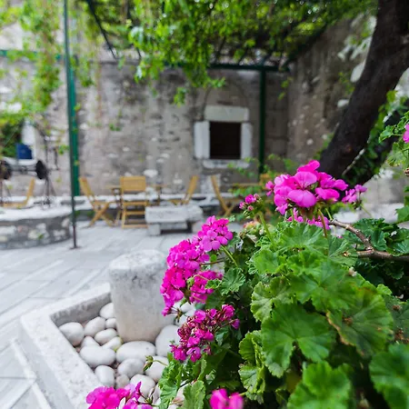 Captain Manolis Hotel Paro