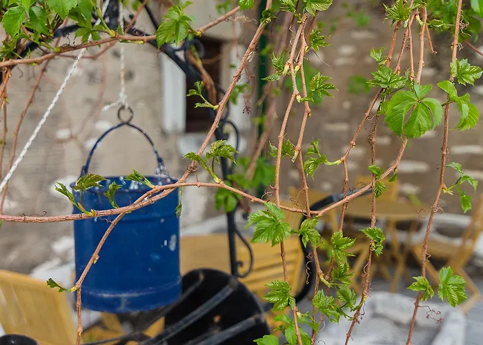 Hotel Captain Manolis 2*